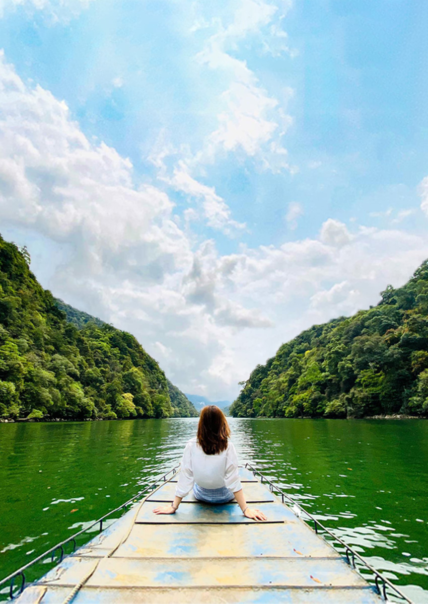 https://www.familytravel.com.vn/index.php?route=product/category&path=99