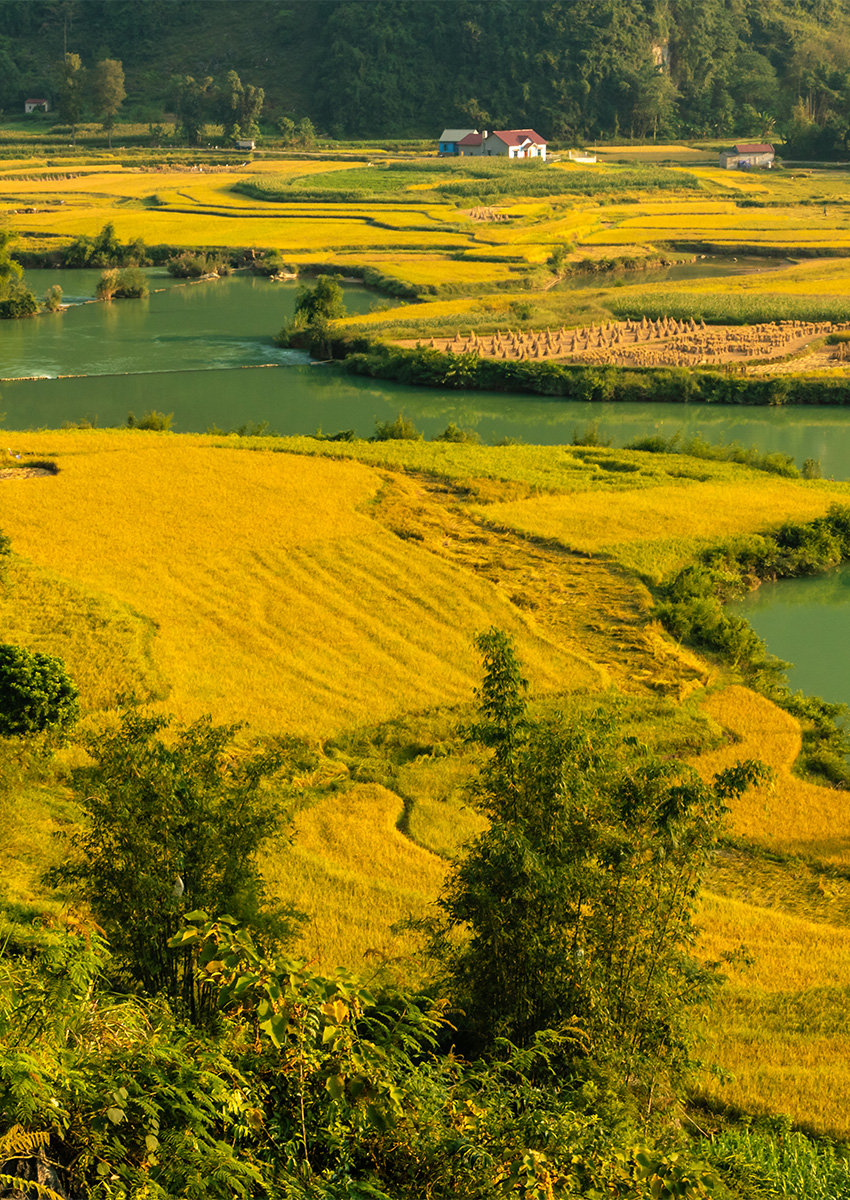 https://www.familytravel.com.vn/index.php?route=product/category&path=102