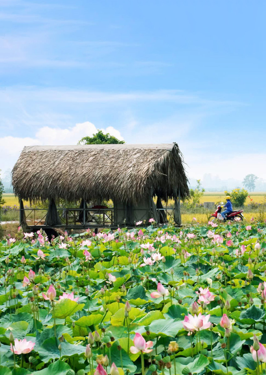 https://www.familytravel.com.vn/index.php?route=product/category&path=136