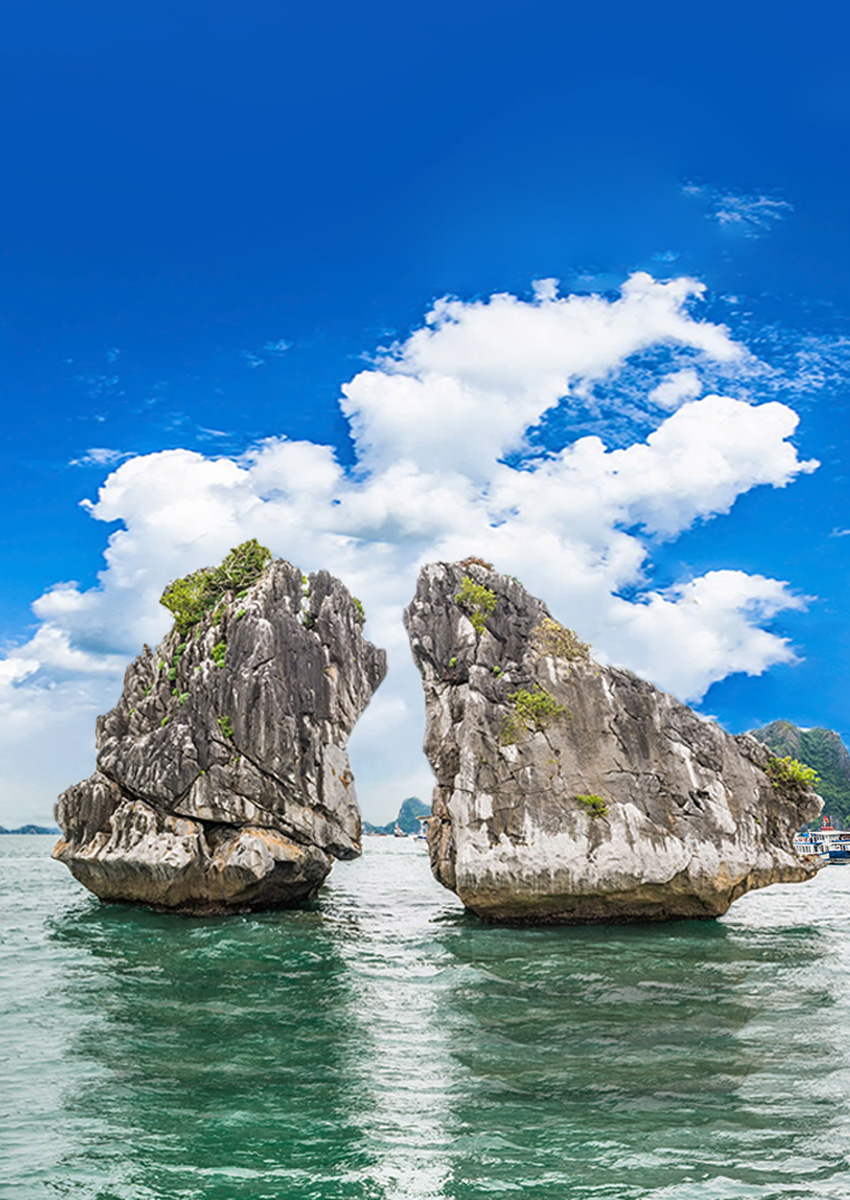 https://www.familytravel.com.vn/index.php?route=product/category&path=63