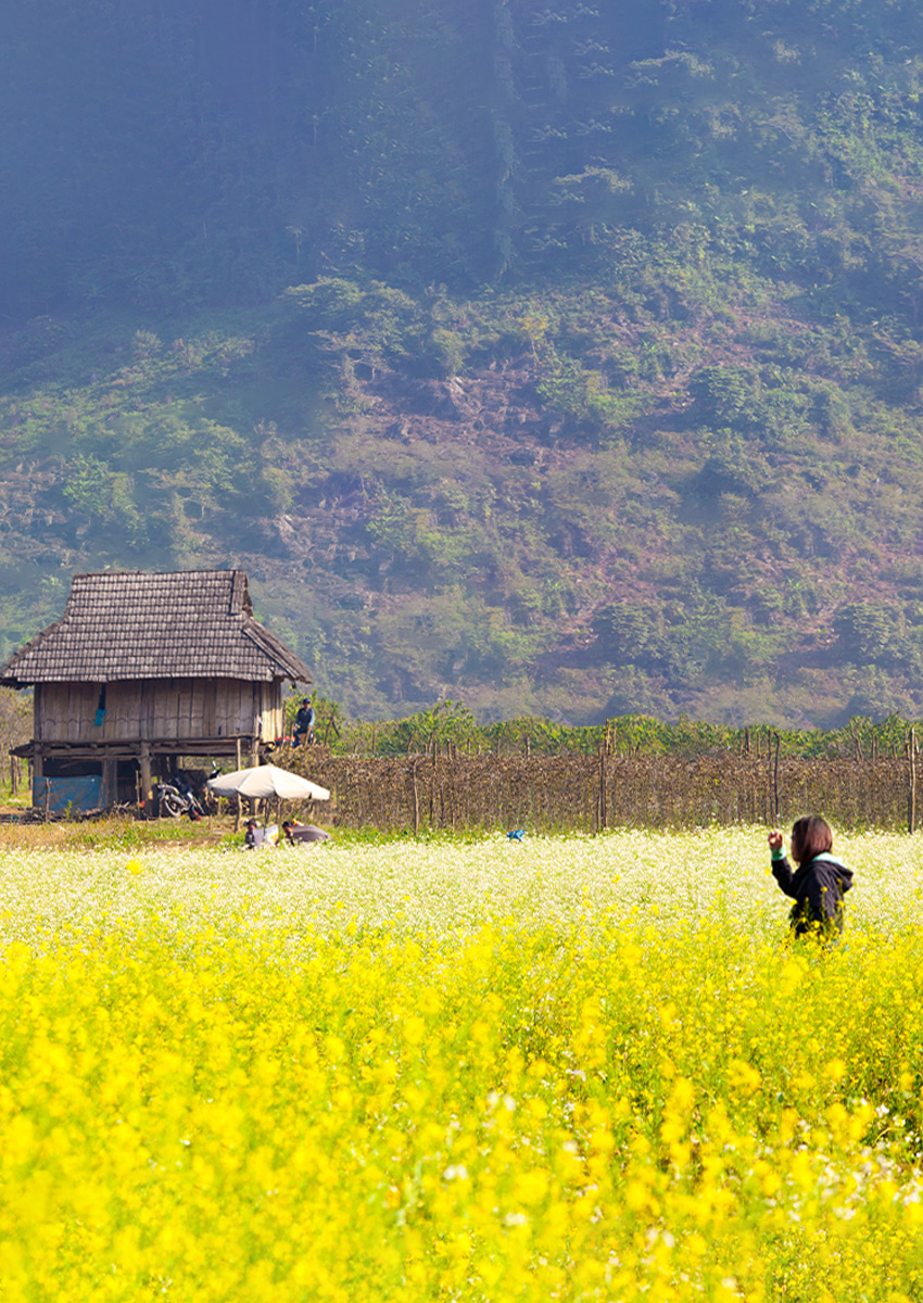 https://www.familytravel.com.vn/index.php?route=product/category&path=65