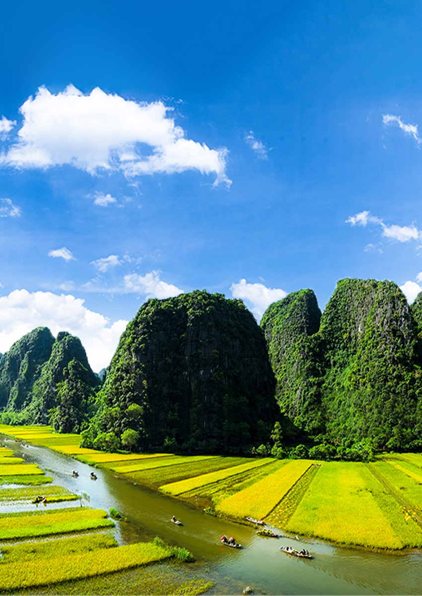 https://www.familytravel.com.vn/index.php?route=product/category&path=66