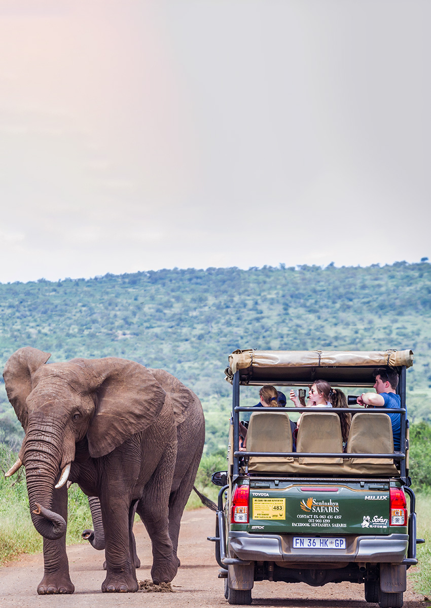 https://www.familytravel.com.vn/index.php?route=product/category&path=162