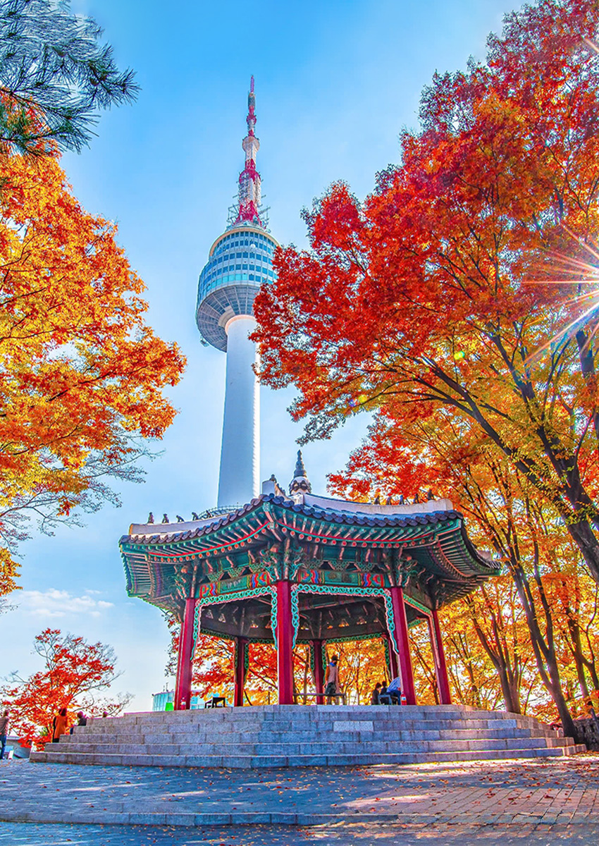 https://www.familytravel.com.vn/index.php?route=product/category&path=80