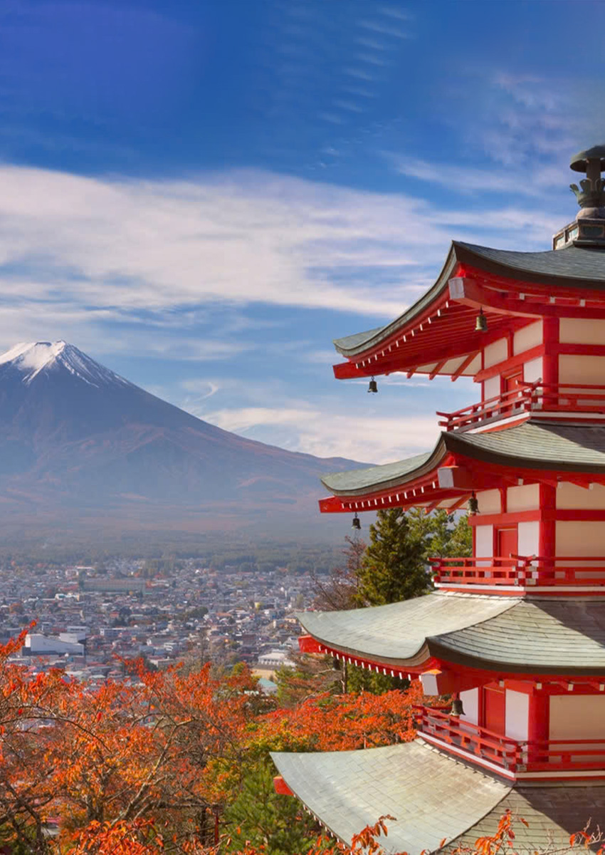 https://www.familytravel.com.vn/index.php?route=product/category&path=81