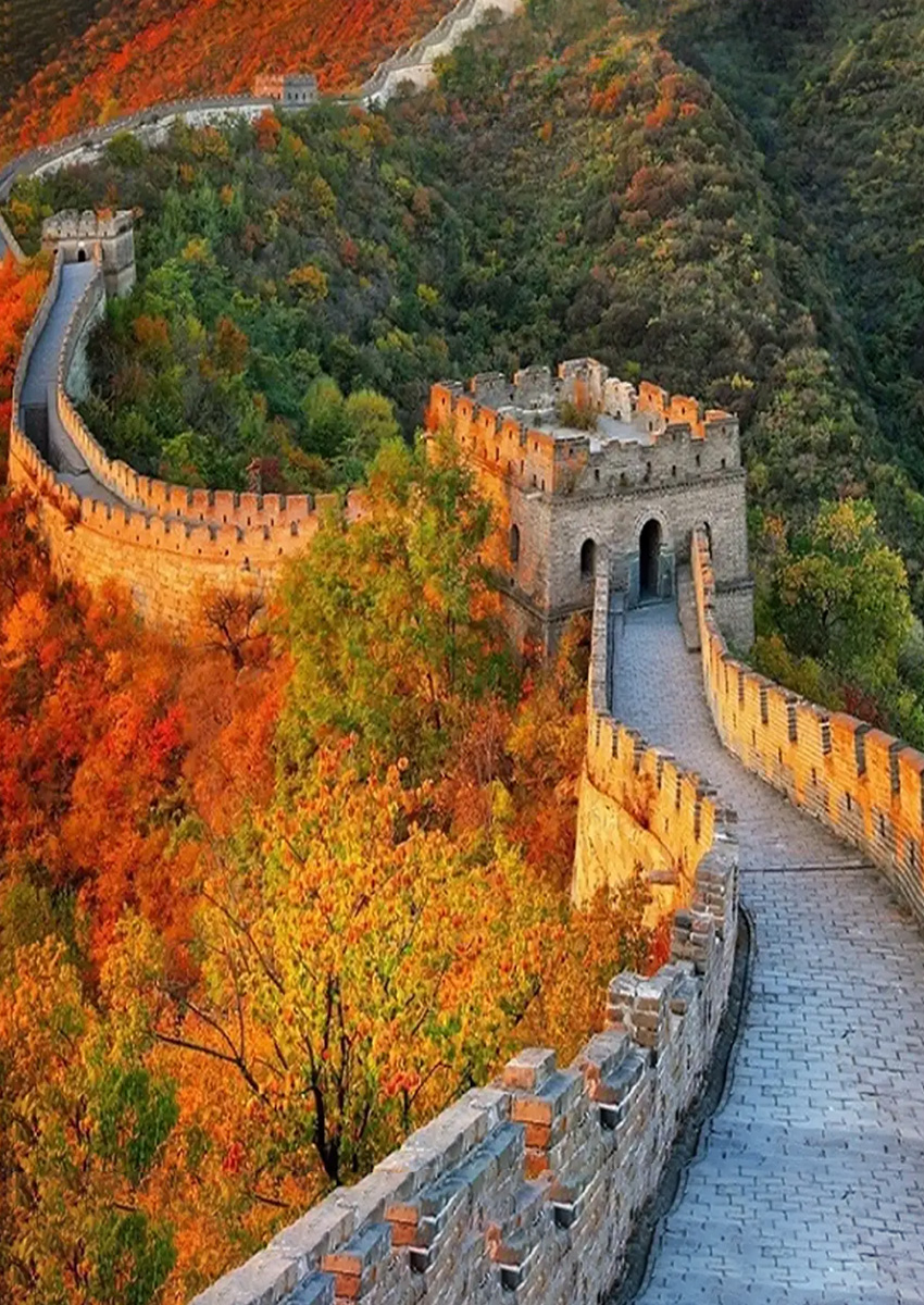 https://www.familytravel.com.vn/index.php?route=product/category&path=79